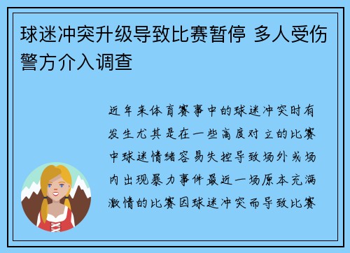球迷冲突升级导致比赛暂停 多人受伤警方介入调查